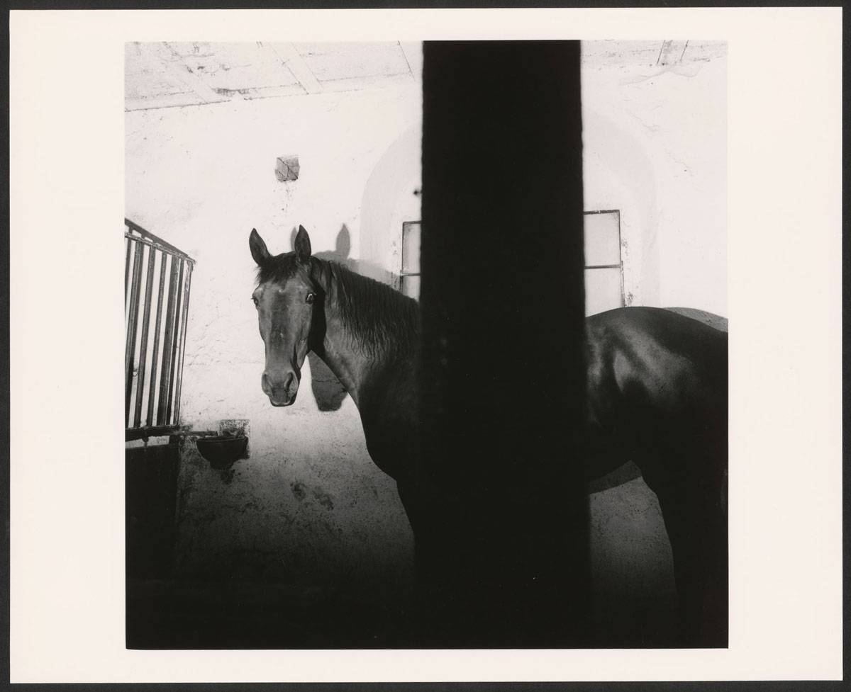 Christian Wachter | Ohne Titel ( aus der Serie "Acedia"), 7.1987 | Vintage-Print auf Barytpapier (von 6x6cm Negativ) | Darstellung: 36,2 × 36,1 cm Fotopapier: 40 × 49,8 cm (15 3/4 × 19 5/8 in.) | Albertina, Wien. Erwerbung aus Mitteln der Galerienförderung des BMUKK 2018 © Bildrecht, Wien, 2019