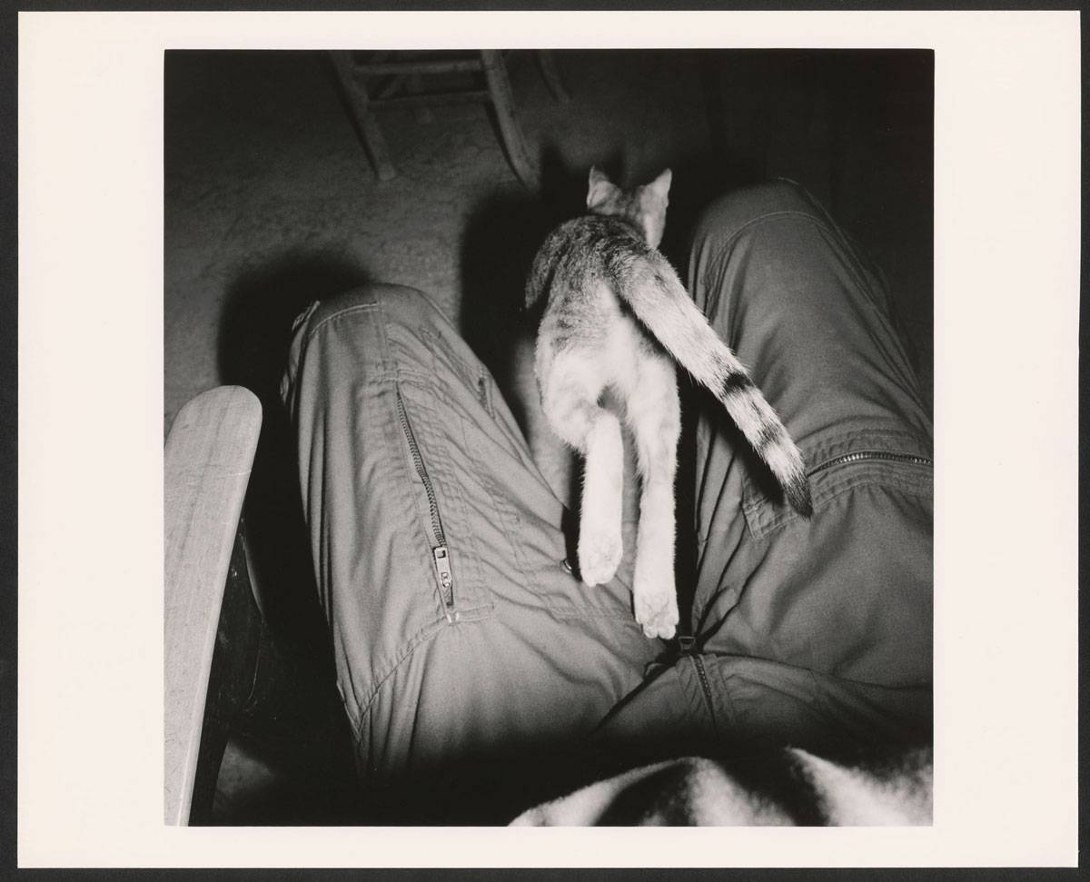 Christian Wachter | Ohne Titel ( aus der Serie "Acedia"), 10.1987 | Vintage-Print auf Barytpapier (von 6x6cm Negativ) | Darstellung: 36,2 × 39,9 cm Fotopapier: 36 × 49,7 cm (14 3/16 × 19 9/16 in.) | Albertina, Wien. Erwerbung aus Mitteln der Galerienförderung des BMUKK 2018 © Bildrecht, Wien, 2019