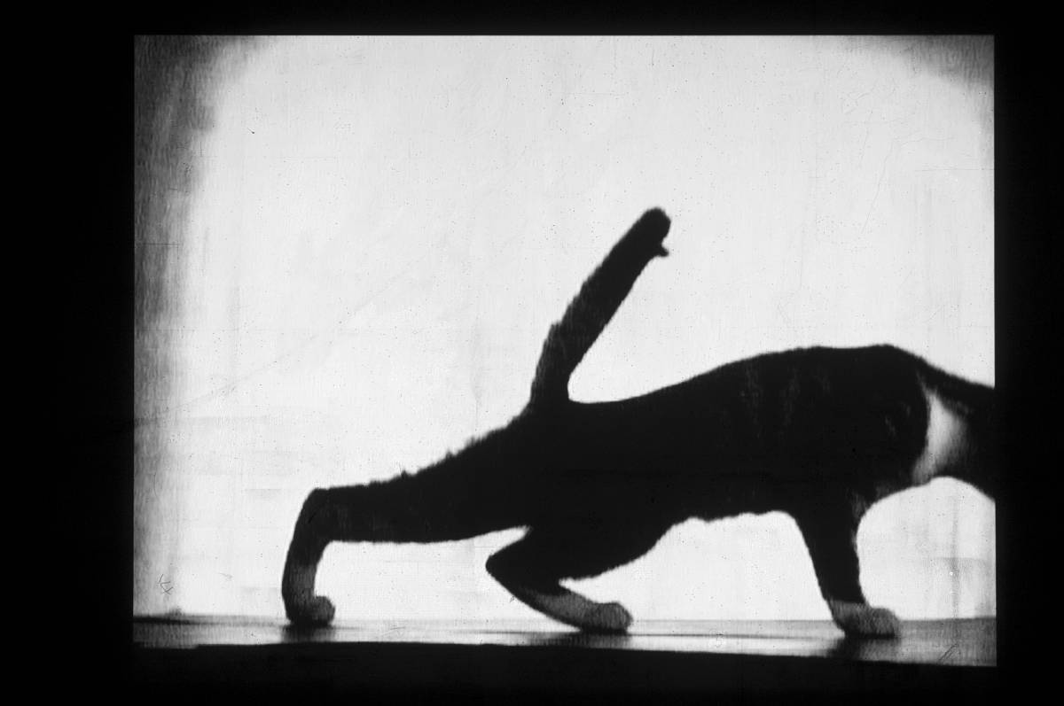 William Kentridge: , 